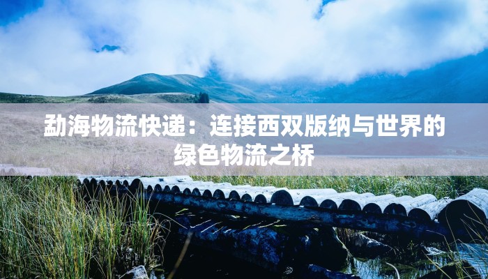 勐海物流快递：连接西双版纳与世界的绿色物流之桥