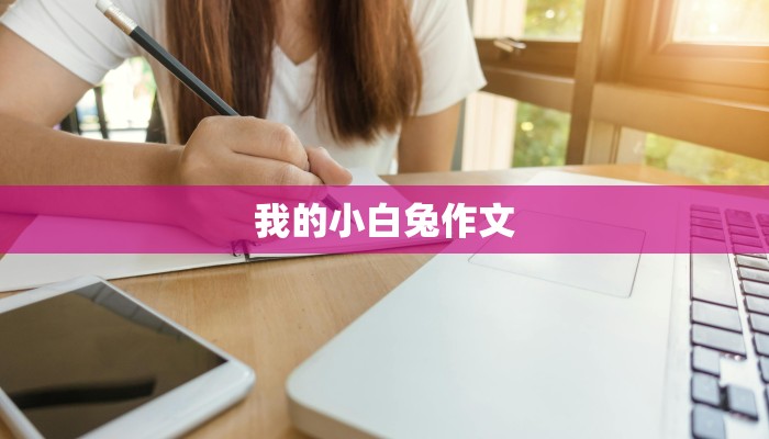 我的小白兔作文