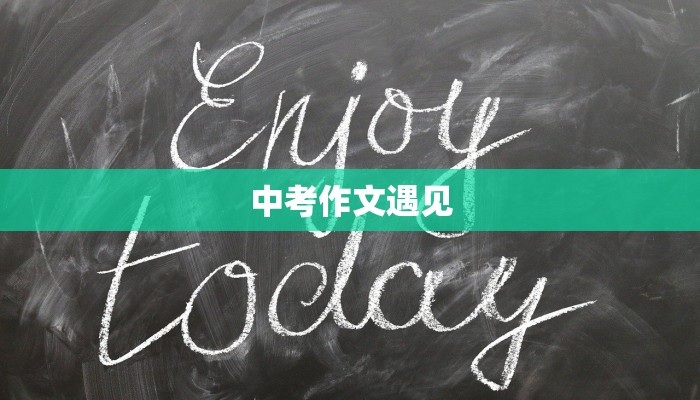 中考作文遇见