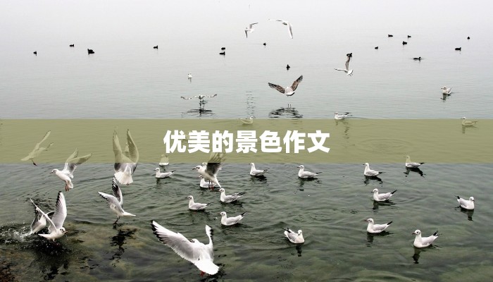 优美的景色作文