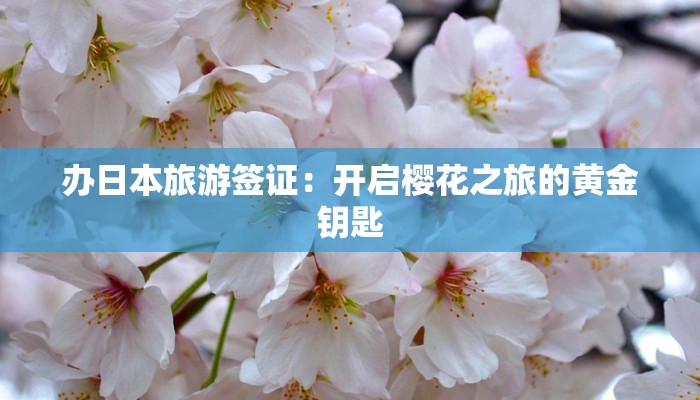 办日本旅游签证:开启樱花之旅的黄金钥匙 办日本旅游签证:开启樱花之旅的黄金钥匙