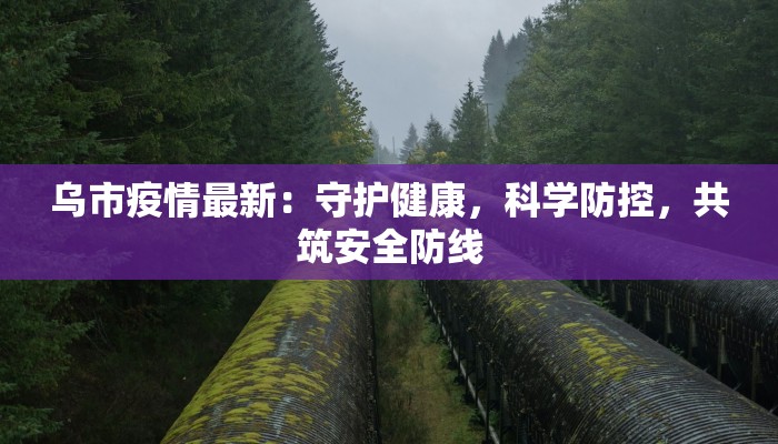 乌市疫情最新：守护健康，科学防控，共筑安全防线