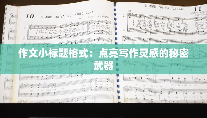 作文小标题格式：点亮写作灵感的秘密武器