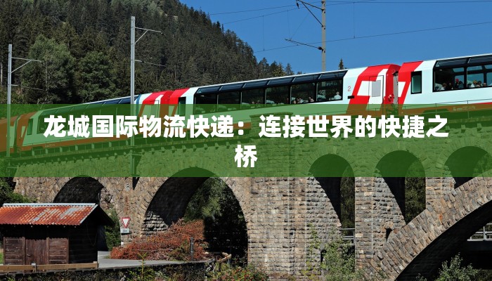 龙城国际物流快递：连接世界的快捷之桥