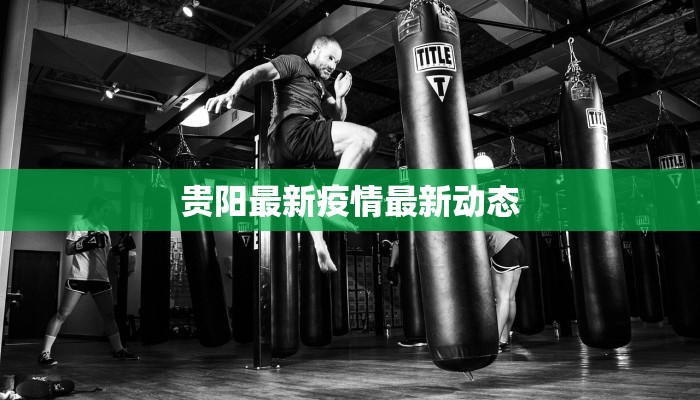 贵阳最新疫情最新动态